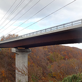 大観山公園線（女神橋）3号